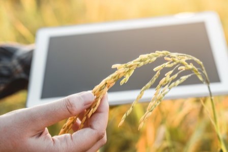 SQW commissioned to evaluate the Transforming Food Production Challenge